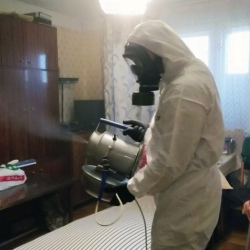 Дезинфекция от клопов в Ялуторовске