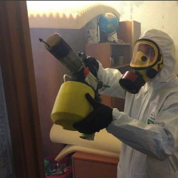 Уничтожение клопов в квартире. Ялуторовск
